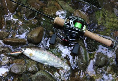 １匹目が川サバ ～長良川水系～